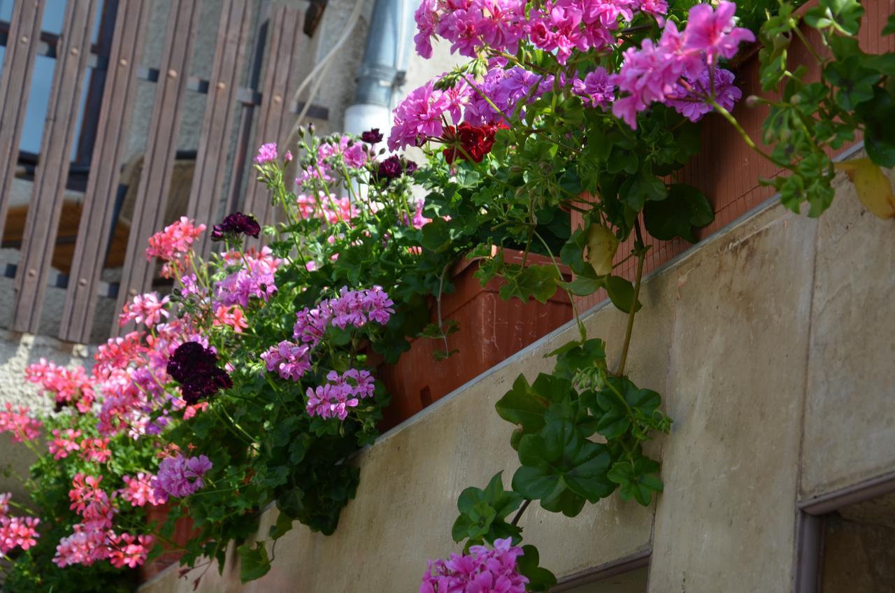 Villa Rosi Sozopol Exterior foto